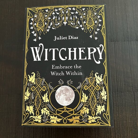 NWOT Victoria's Secret Bags and Witchery Book by Juliet Diaz Bundle - Picture 16 of 16